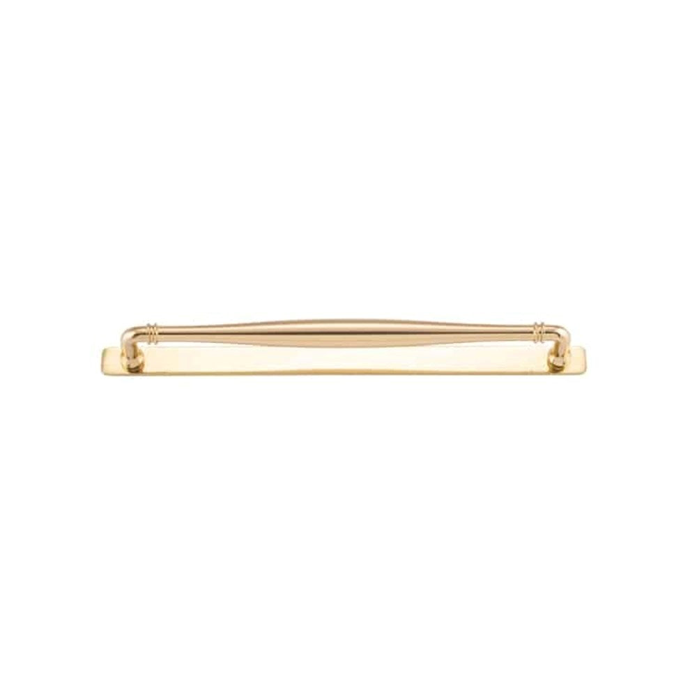 Sarlat Cabinet Pull on Backplate